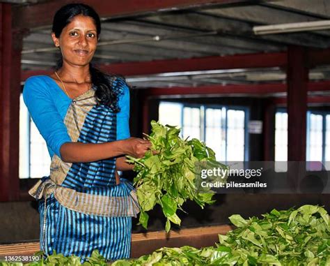 5,760 Tamil Ladies Stock Photos & High